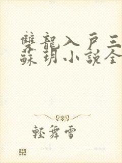 双龙入户三人行苏玥小说全文阅读