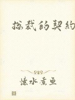 总裁的契约情人