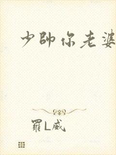 少帅你老婆
