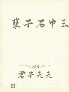 孽子石中玉