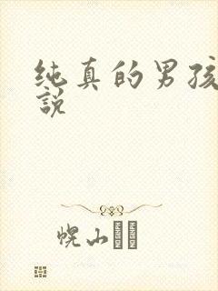 纯真的男孩子小说