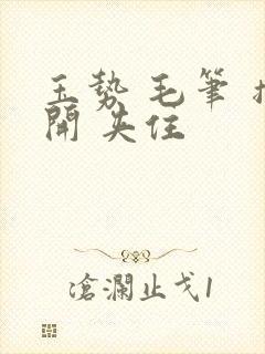 玉势 毛笔 撑开 夹住