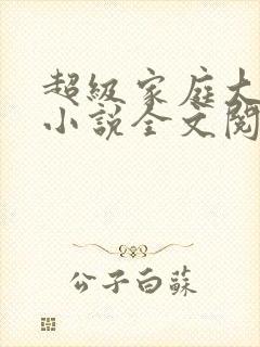 超级家庭大杂烩小说全文阅读