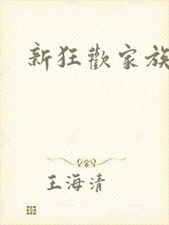 新狂欢家族小说