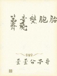 第章双胞胎姐妹齐飞