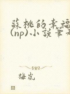 苏桃的幸福生活(np)小说笔趣阁沐沐