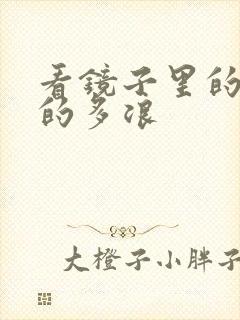 看镜子里的你叫的多浪