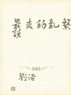 最爽的乱系列小说