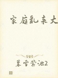 家庭乱来大杂烩