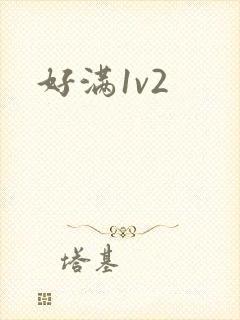 好满1v2