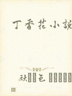 丁香花小说