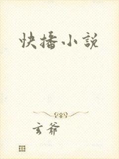快播小说