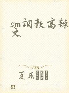 sm调教高辣h文