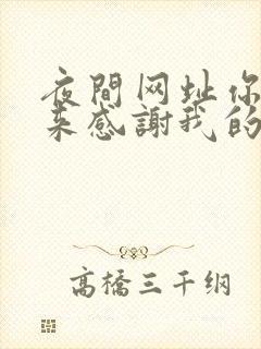 夜间网址你会回来感谢我的