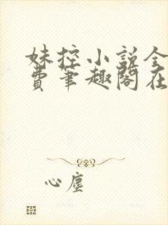 妹控小说全文免费笔趣阁在线阅读