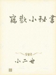 窃欢小秘书