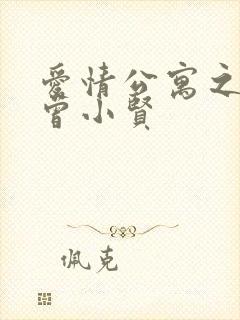 爱情公寓之极品曾小贤