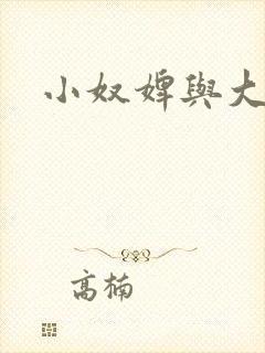 小奴婢与大少爷