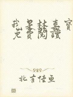 我是林喜宝小说免费阅读