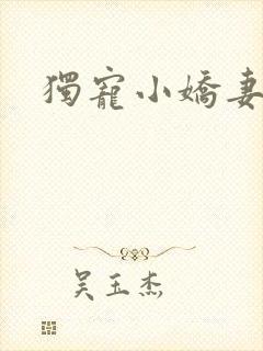 独宠小娇妻