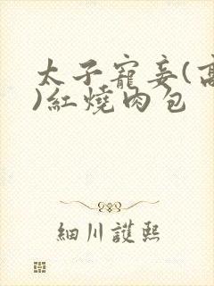 太子宠妾(高肉)红烧肉包