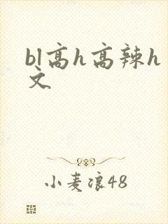 bl高h高辣h文