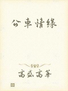 公车情缘