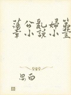 荡公乱妇第51章小说小莹