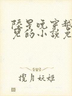 陆星晚穿越成婴儿的小说免费阅读全文