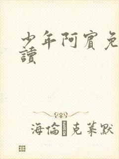 少年阿宾免费阅读