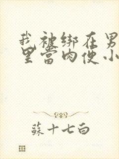 我被绑在男公厕里当肉便小说