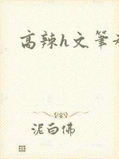 高辣h文笔趣阁