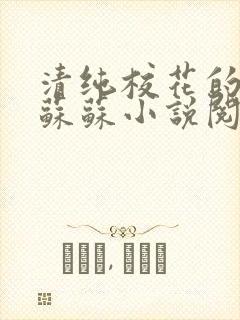 清纯校花的日常苏苏小说阅读全文