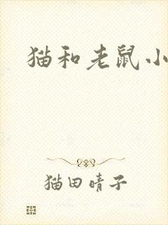 猫和老鼠小说
