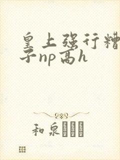 皇上强行糟蹋太子np高h