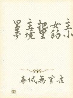 男主把女主拖进梦境里的小说