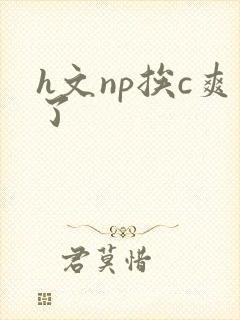 h文np挨c爽了