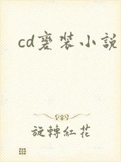 cd变装小说