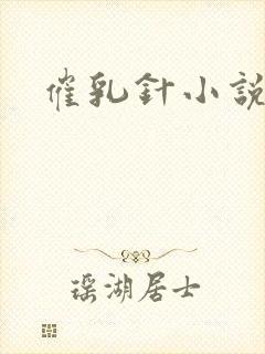 催乳针小说