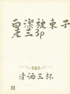 白洁被东子老二老三3p