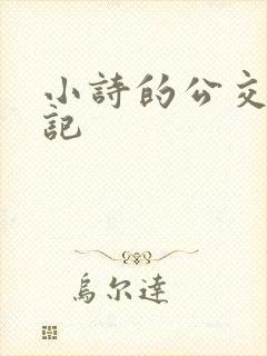 小诗的公交车日记