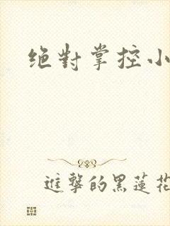 绝对掌控小说
