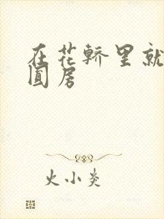 在花轿里就开始圆房