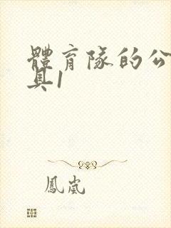 体育队的公用玩具1