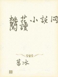 桃花小说网小说阅读