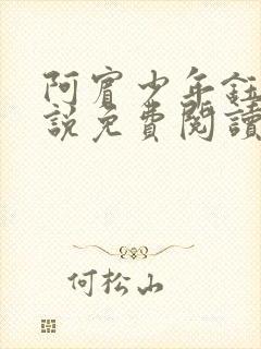 阿宾少年钰慧小说免费阅读笔趣阁