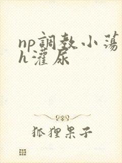 np调教小荡货h灌尿