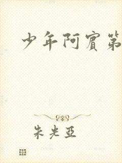 少年阿宾第二部