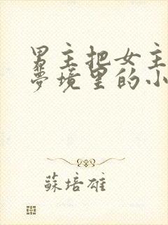 男主把女主拖进梦境里的小说