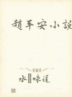 赵平安小说主角